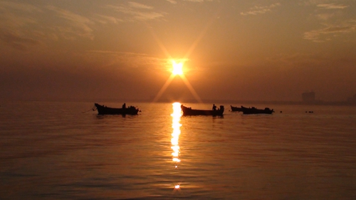 ���۳���  �ž�.JPG